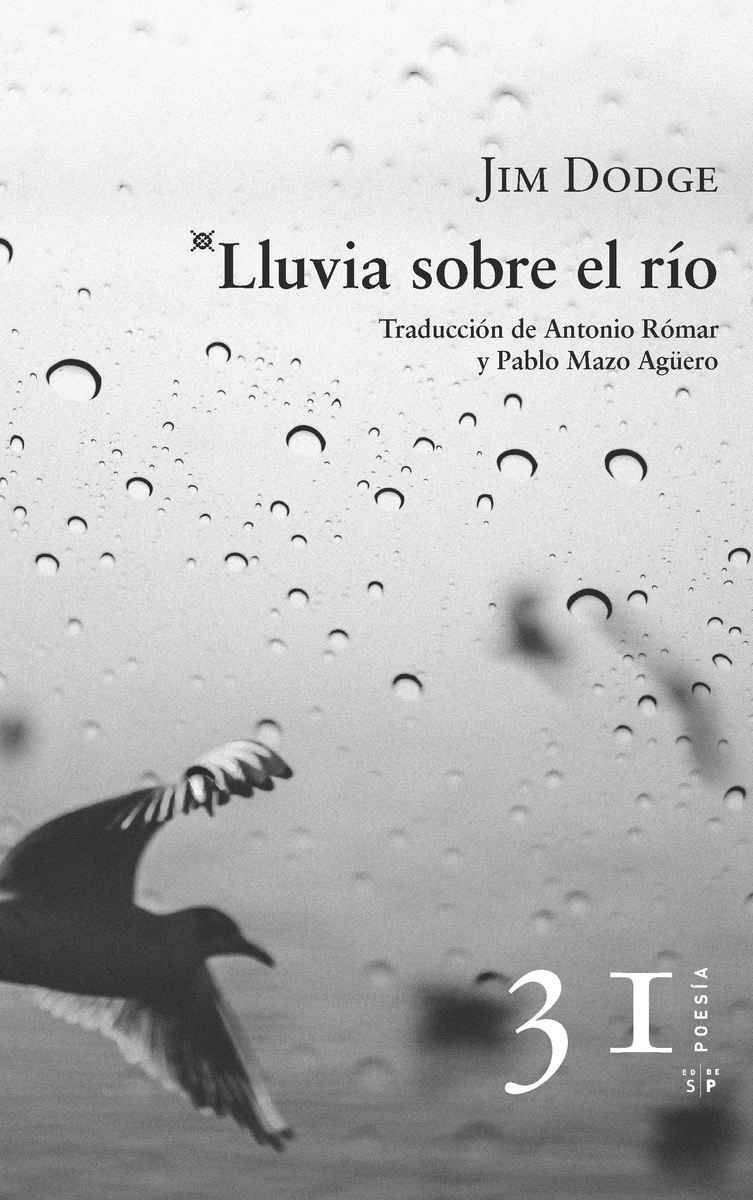 Lluvia sobre el río