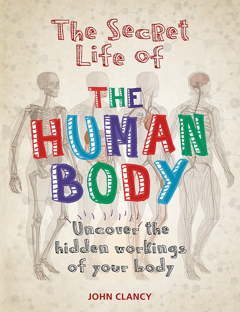 The secret life of the human body