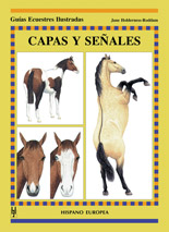 Capas y señales.