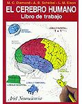 El cerebro humano. Libro de trabajo