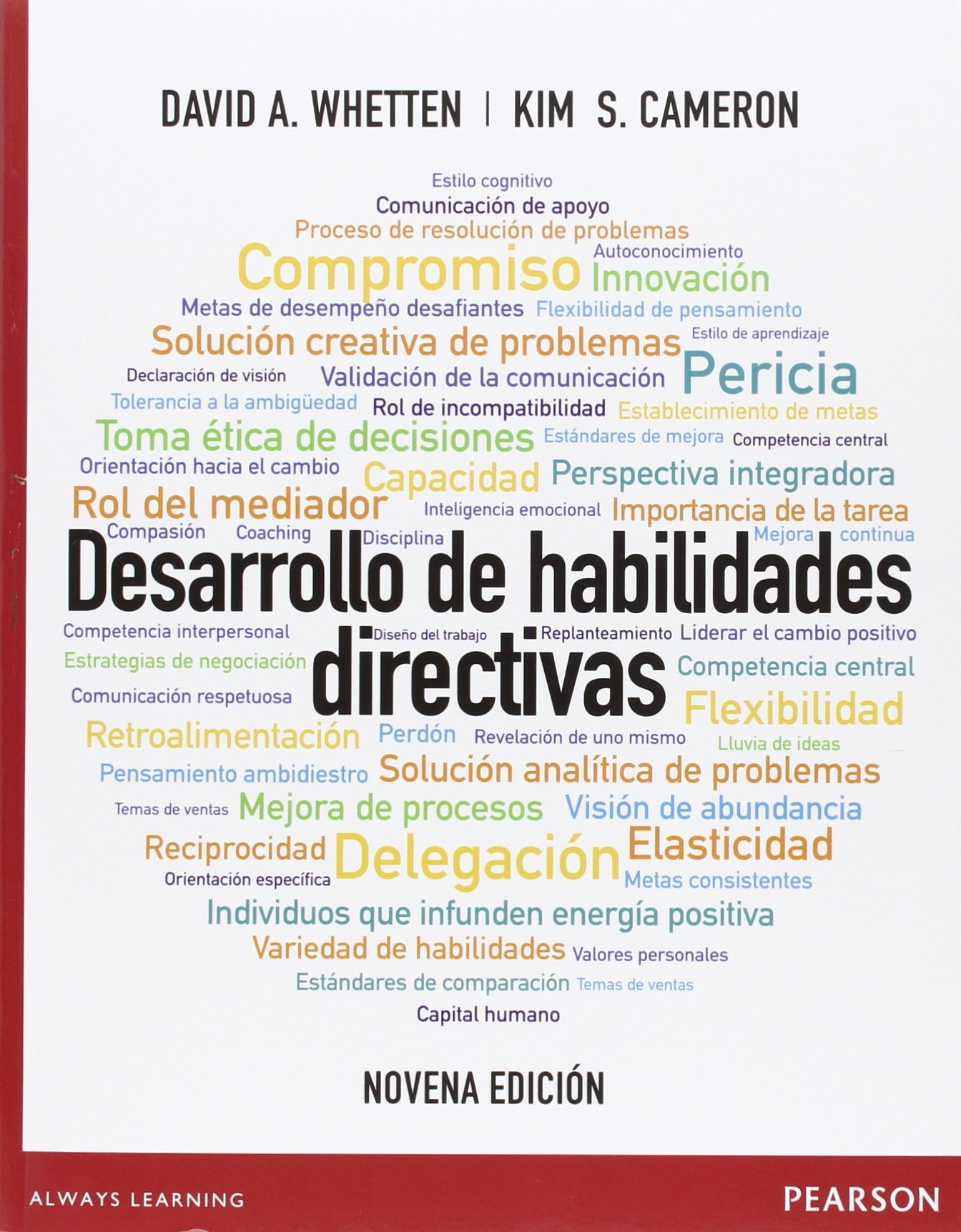 Desarrollo de actividades directivas