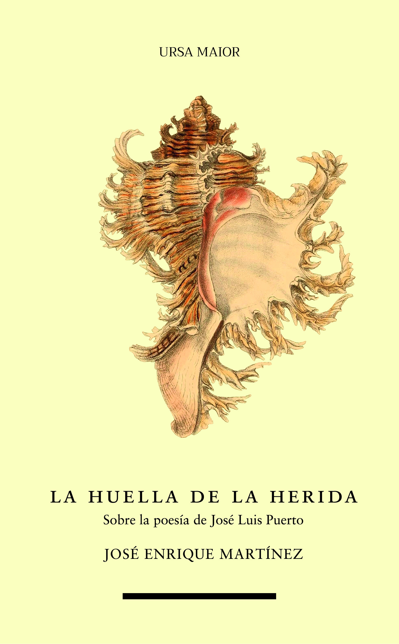 La huella de la herida: sobre la poesía de José Luis Puerto