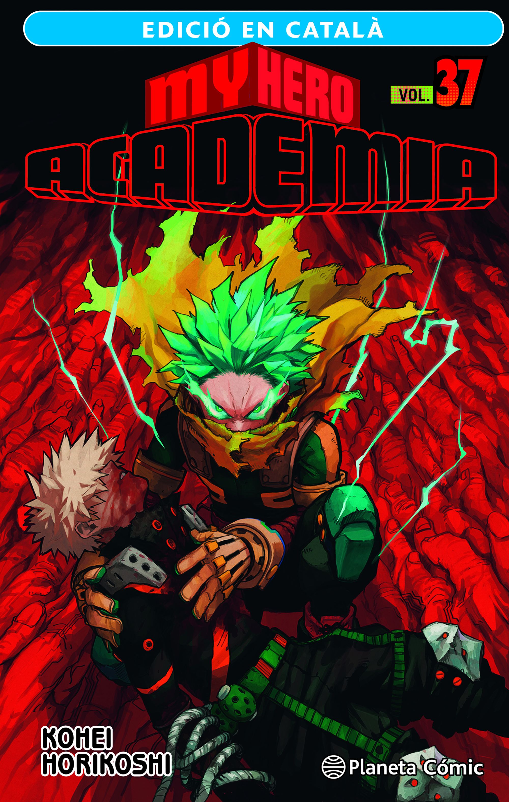 My Hero Academia nº 37