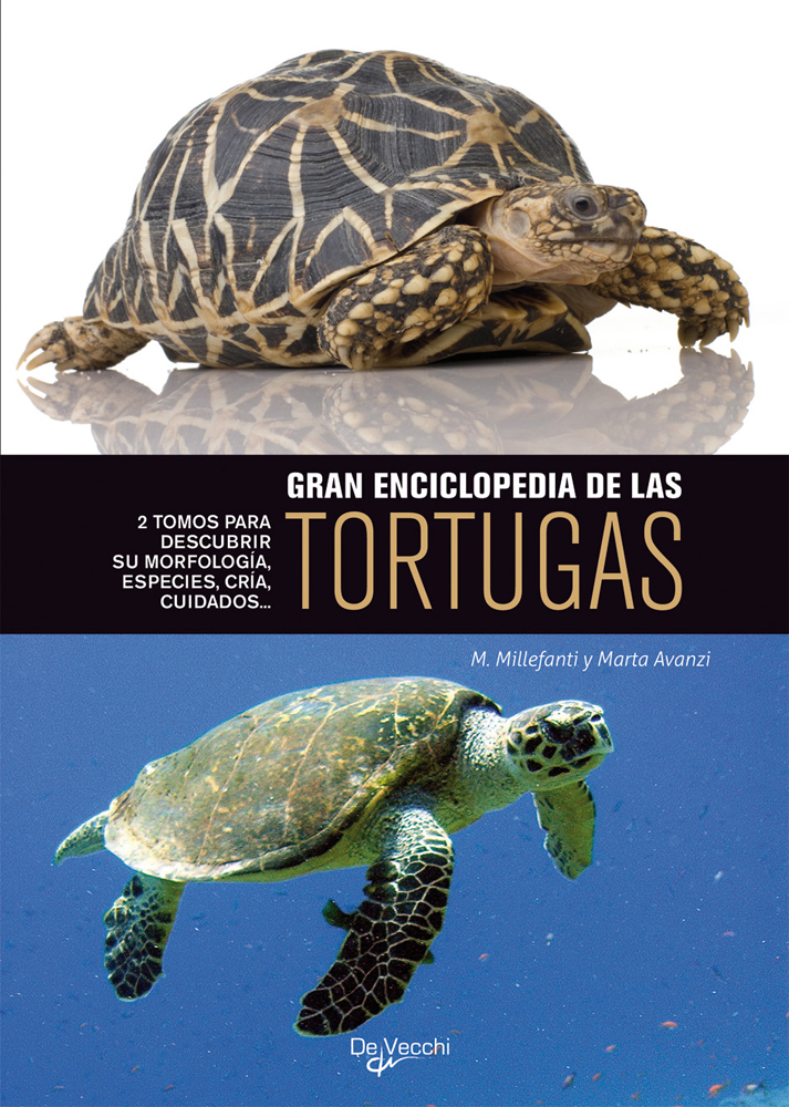 Gran enciclopedia de las tortugas