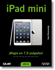 iPAD mini