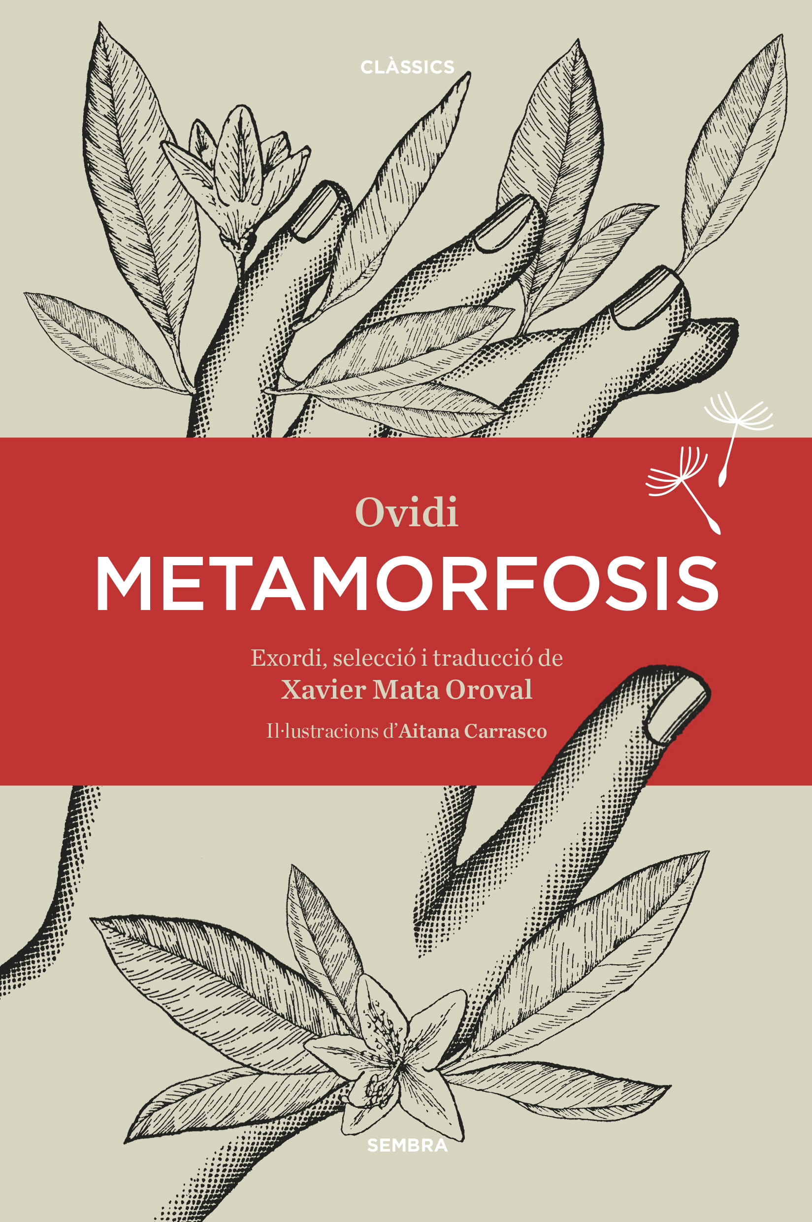 Metamorfosis