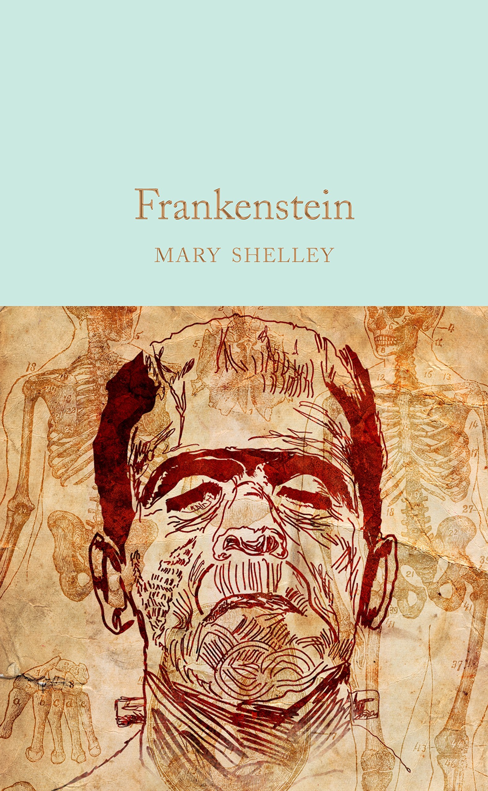 Frankenstein (Macmillan Collector's Library)