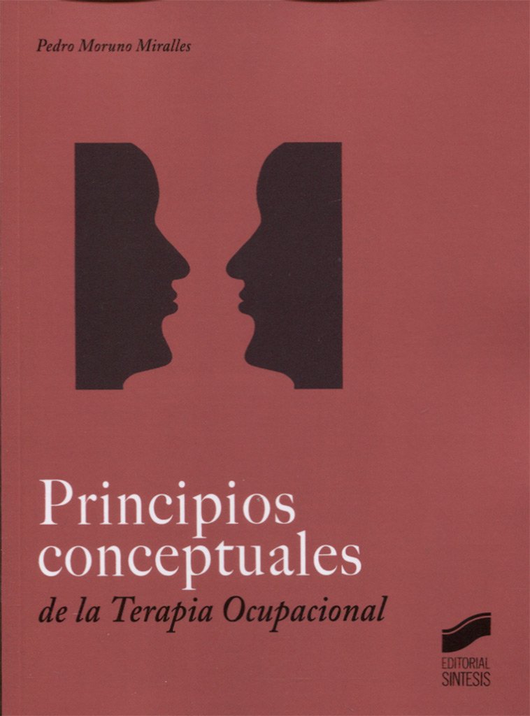 Principios conceptuales en Terapia Ocupacional