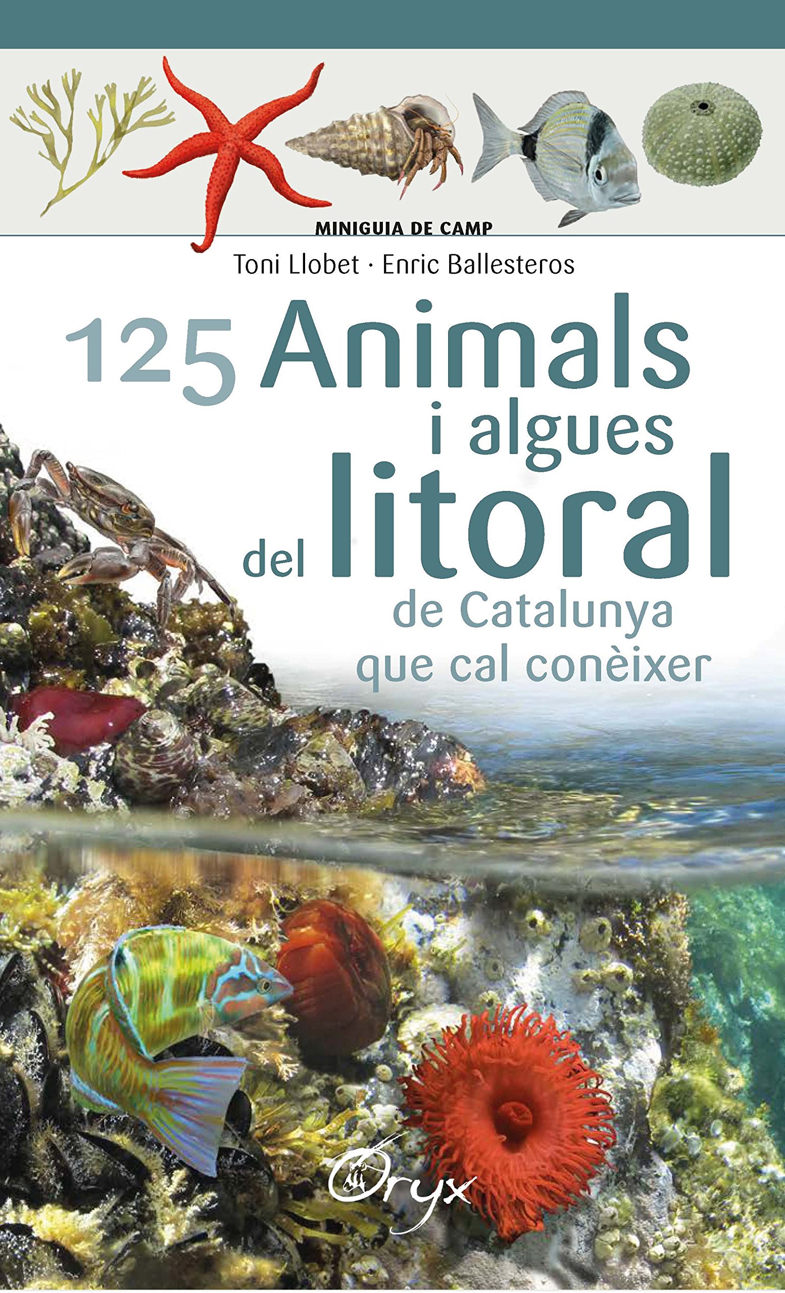 125 animals i algues del litoral de Catalunya que cal conèixer (Miniguia de camp)