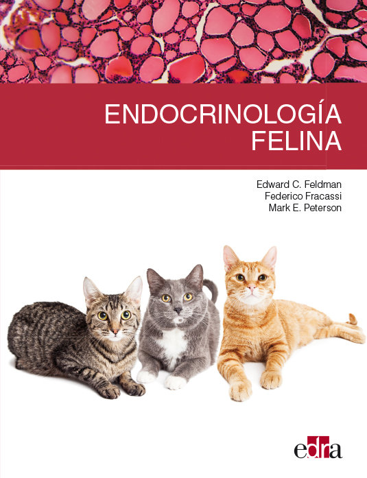 Endocrinología felina