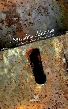 Miradas oblicuas en la narrativa latinoamericana contemporánea:límites de lo real,fronteras de los fantástico