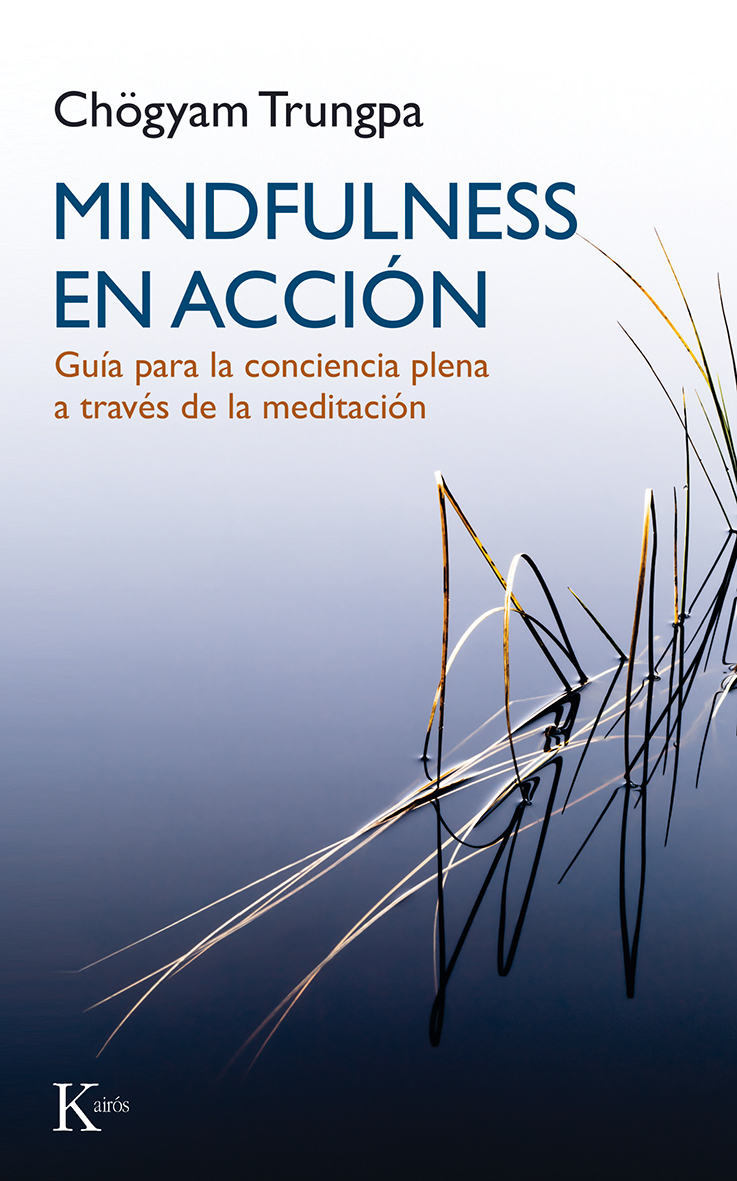 Mindfulness en acción: guía para la conciencia plena a través de la meditación