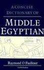 A Concise dictionary of middle egyptian