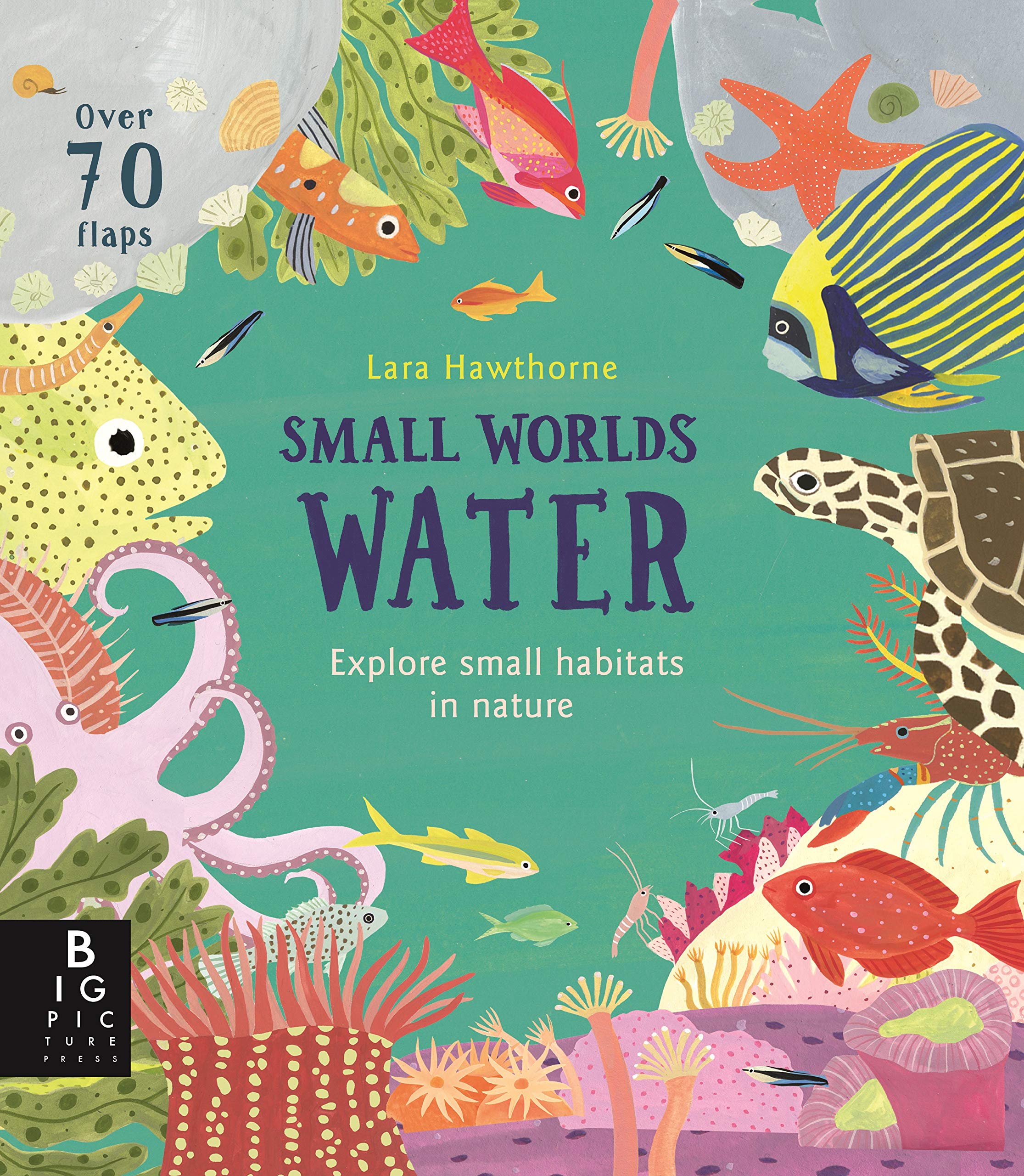 Small Worlds. Water