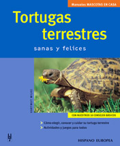 Tortugas terrestres: sanas y felices