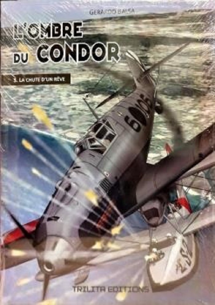 LOMBRE DU CONDOR 3