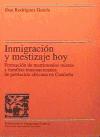 Inmigración y mestizaje hoy. Formación de matrimonios mixtos y familias transnacionales de población africana en Cataluña