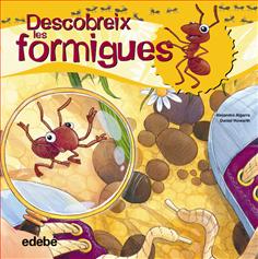 Descobreix les formigues