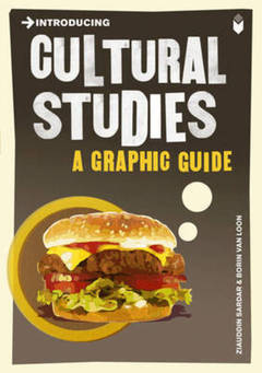 Introducing Cultural Studies (A Graphic Guide)