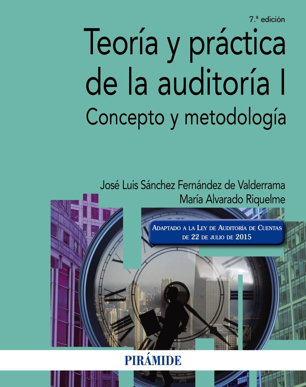 Teoría y práctica de la auditoría I. Concepto y metodología