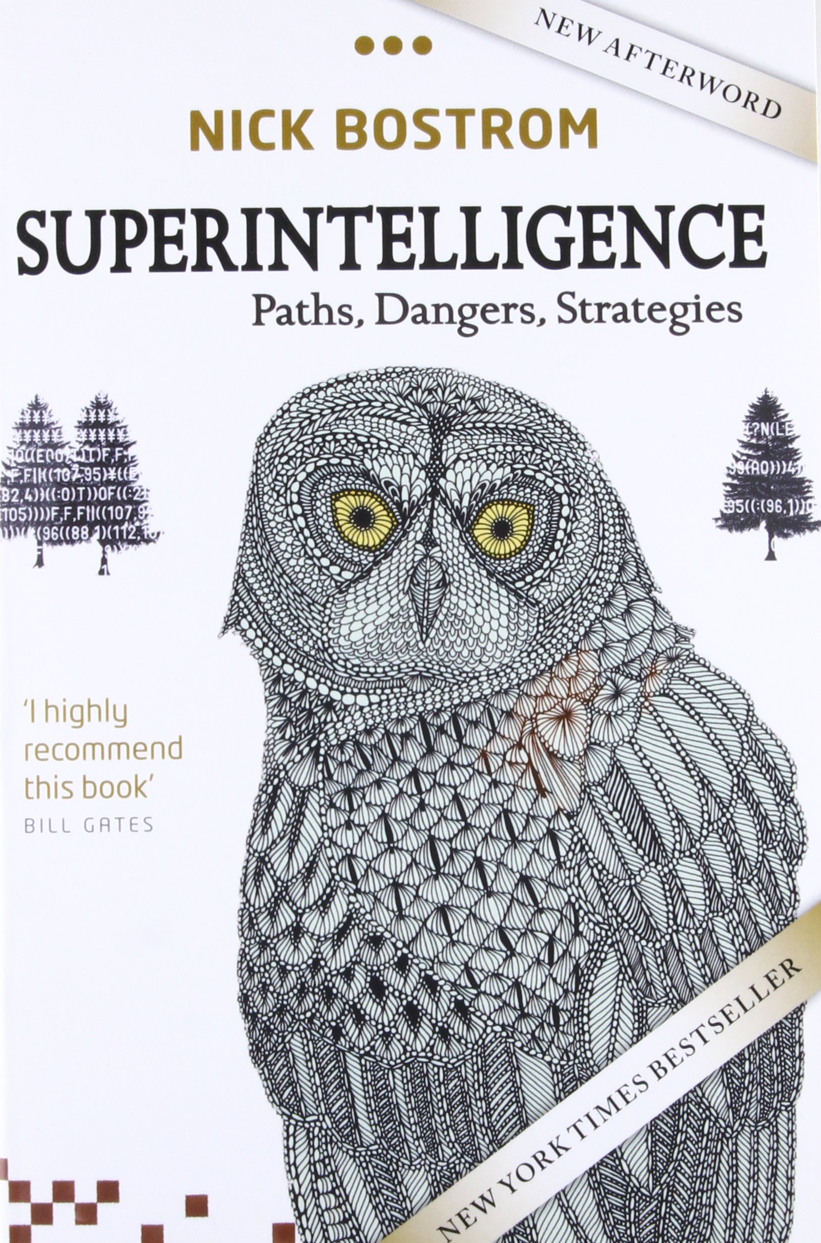 Superintelligence: Paths, Dangers, Strategies