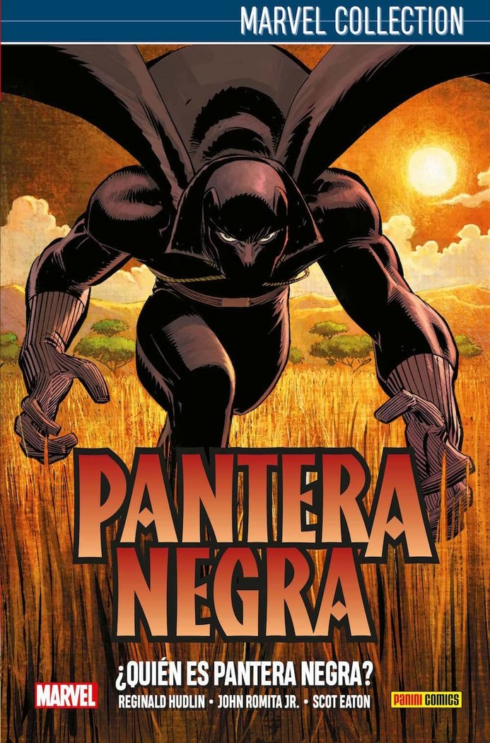 PANTERA NEGRA DE HUDKIN 01: ¿QUIEN ES PANTERA NEGRA?