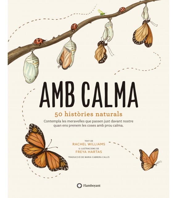 Amb Calma (Cartes) (30 Activitats Mindfulness)