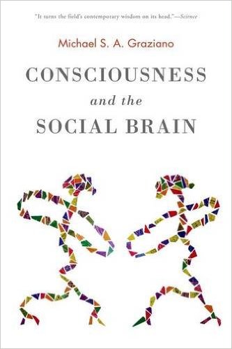 Consciousness and the social brain