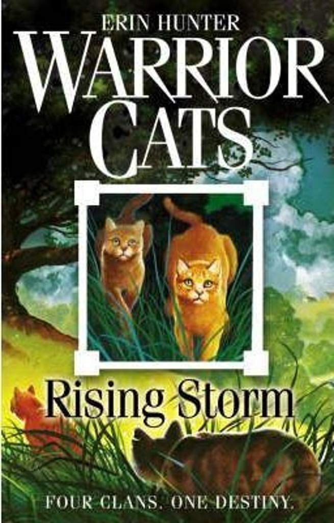 Rising Storm: FOUR CLANS. ONE DESTINY. (Warrior Cats, Book 4)