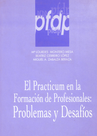 El practicum en la formación de profesionales:Problemas y desafíos