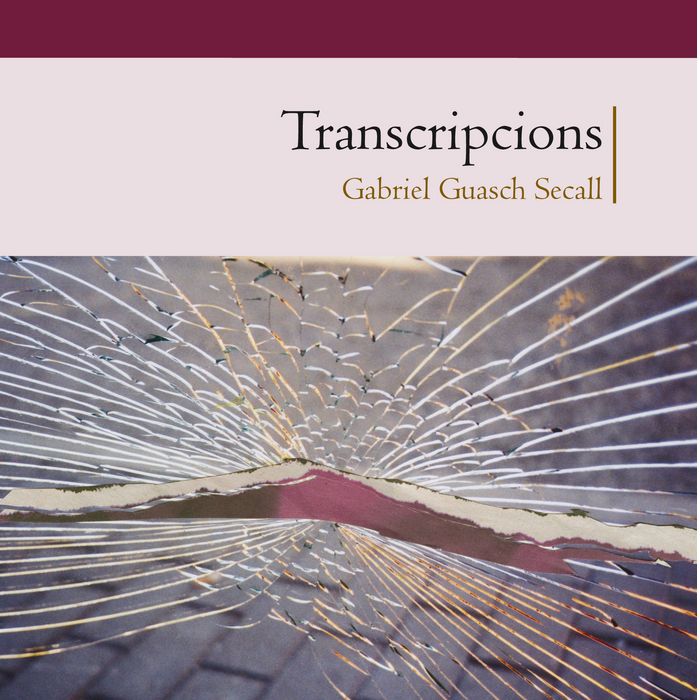 TRANSCRIPCIONS