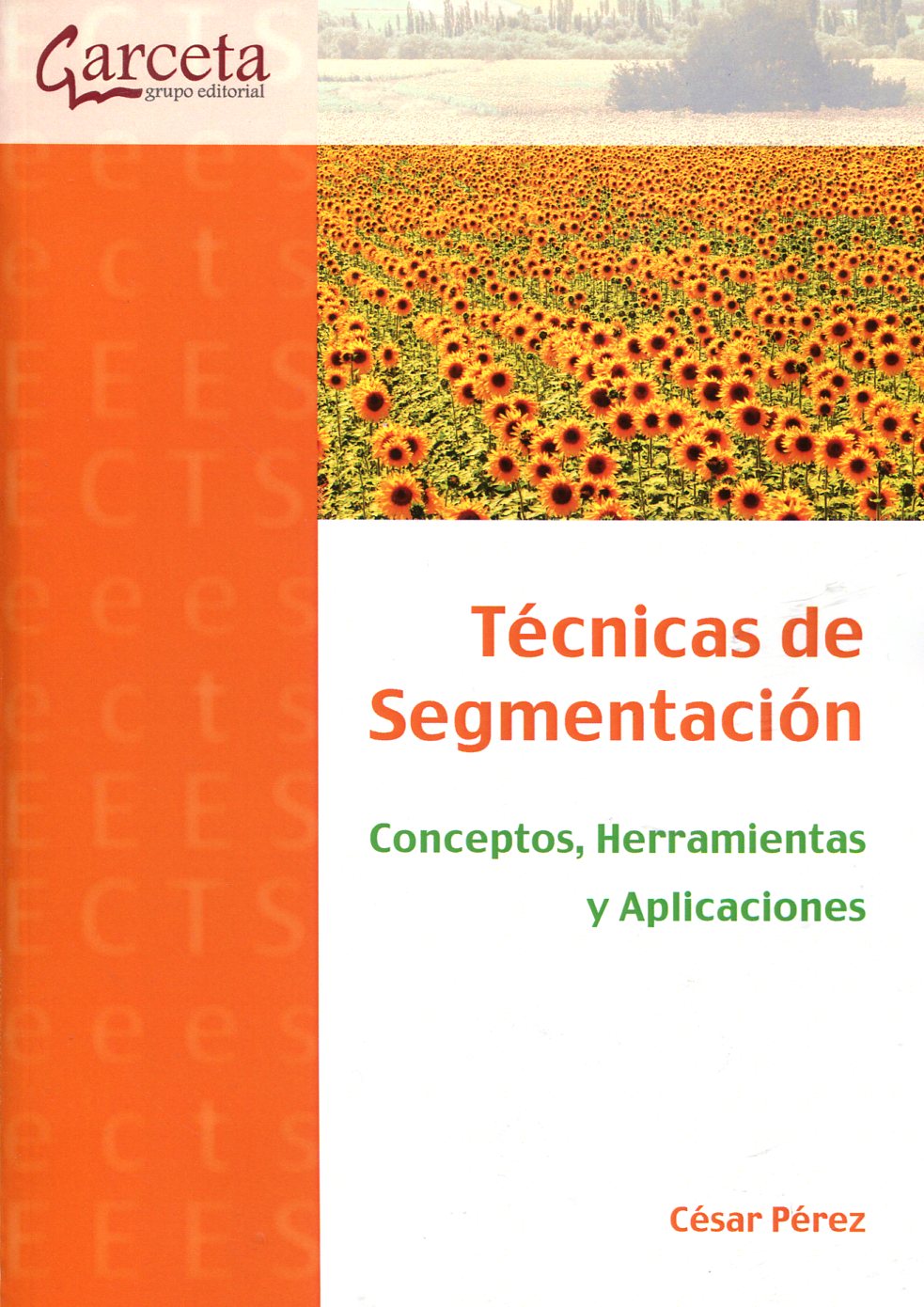 Técnicas de segmentación