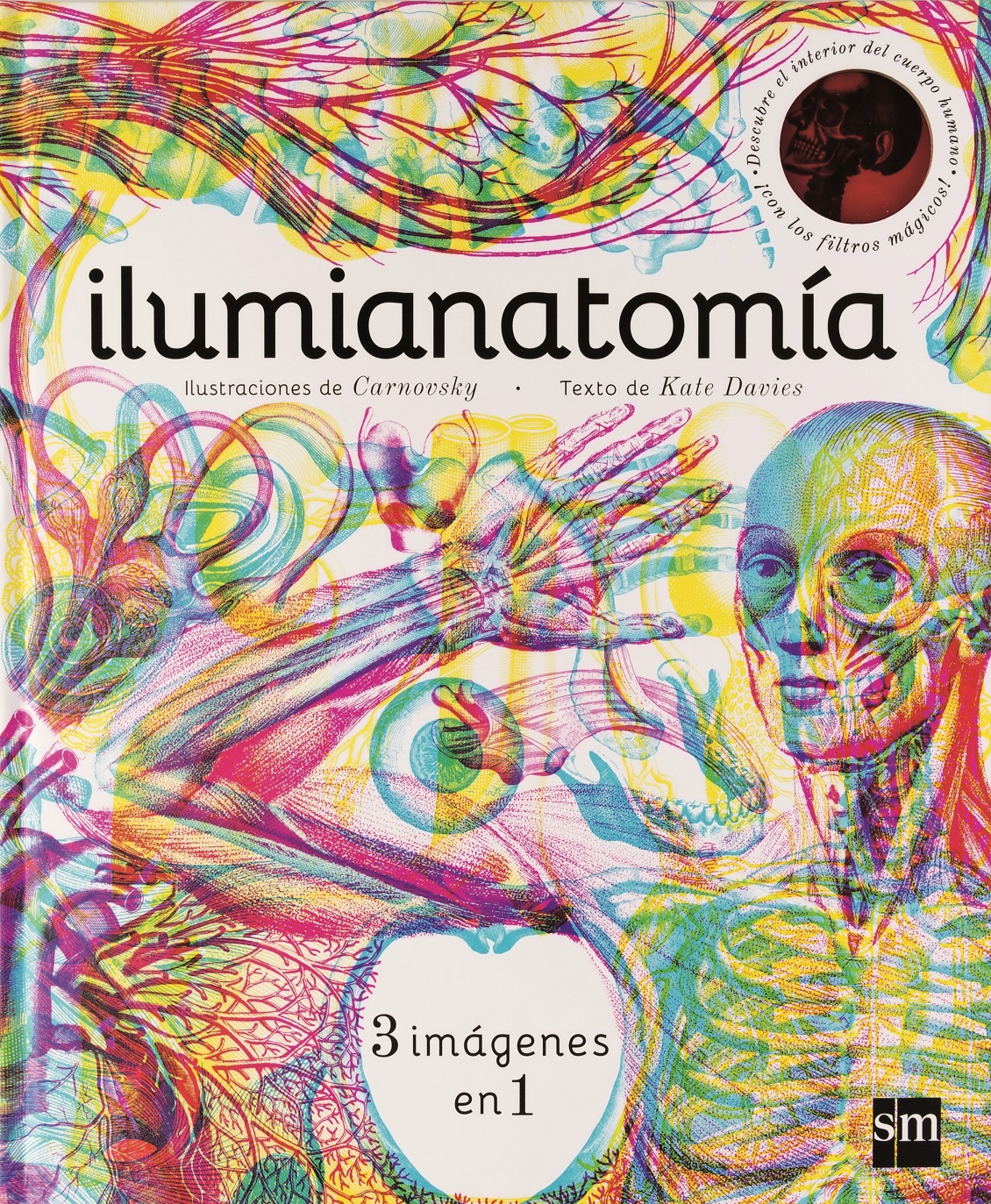 Ilumianatomía