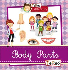 Body Parts (Te Reo for Little Kid´s Books)