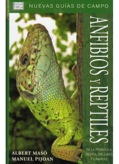 Anfibios y reptiles