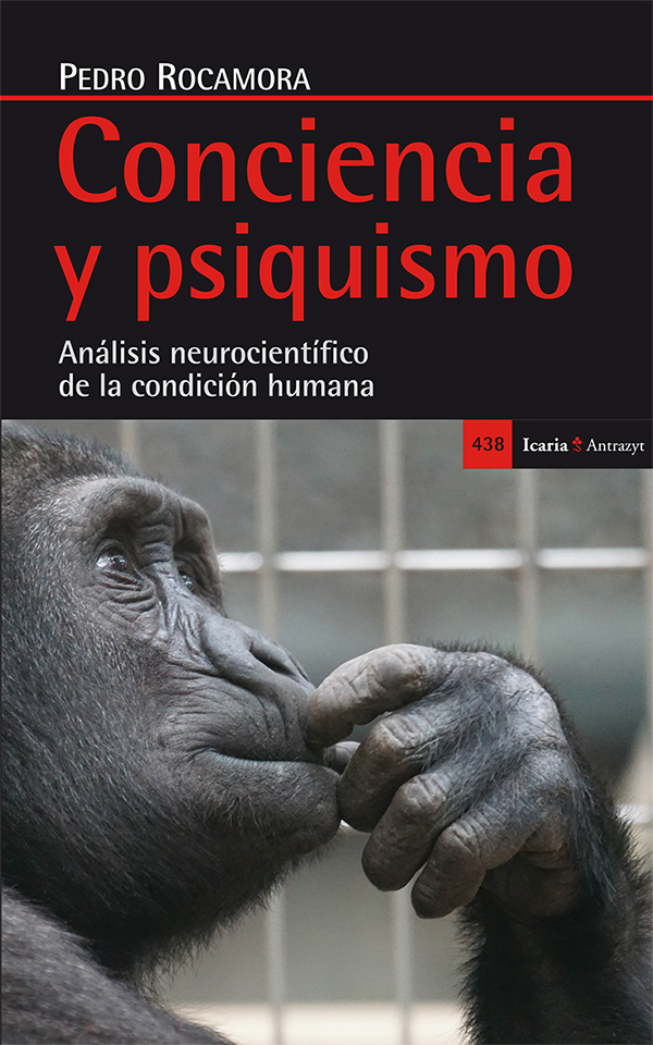 Conciencia y psiquismo