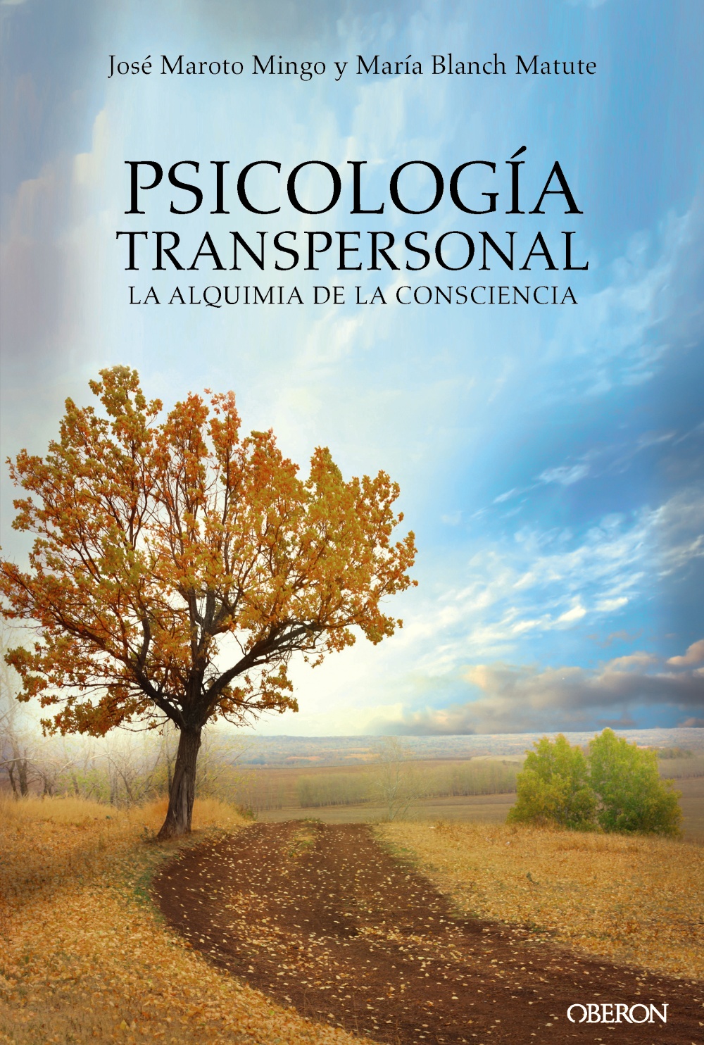 Psicología transpersonal. La alquimia de la consciencia