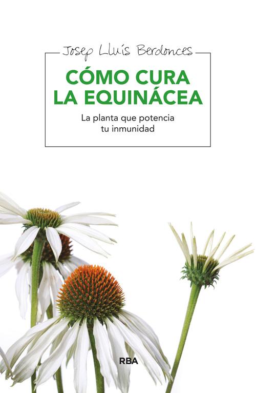 Cómo cura la equinácea. La planta que potencia tu inmunidad