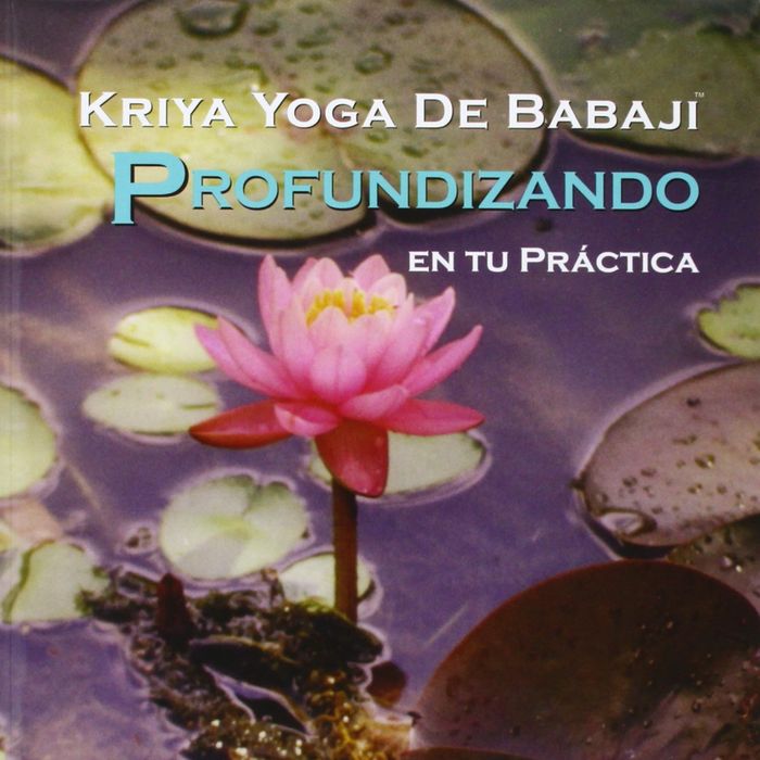 PROFUNDIZANDO EN TU PRACTICA. YOGA