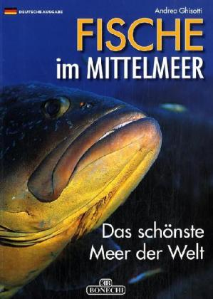 Fische im Mittelmeer. Das schonste Meer der Welt