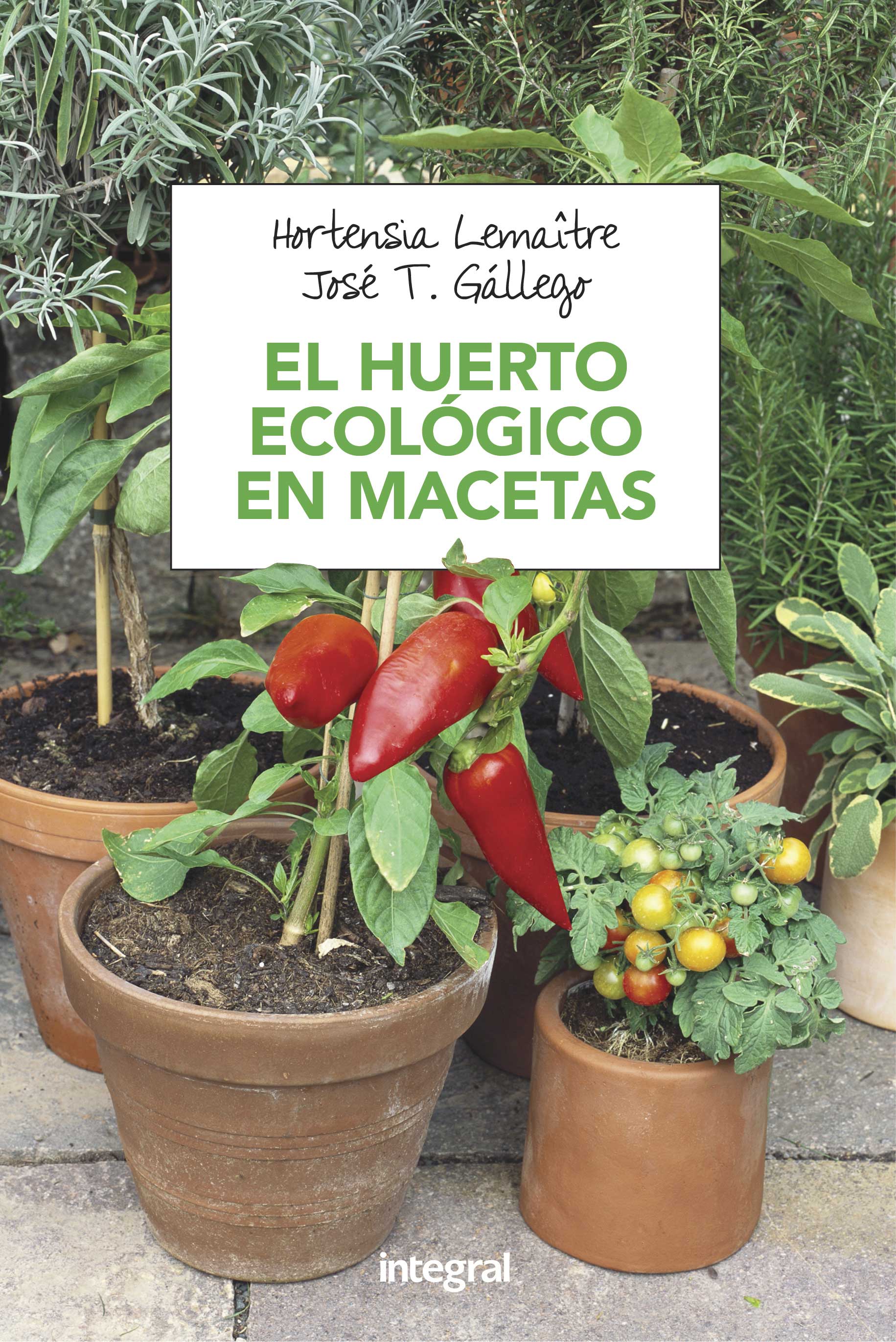 El huerto ecologico en macetas