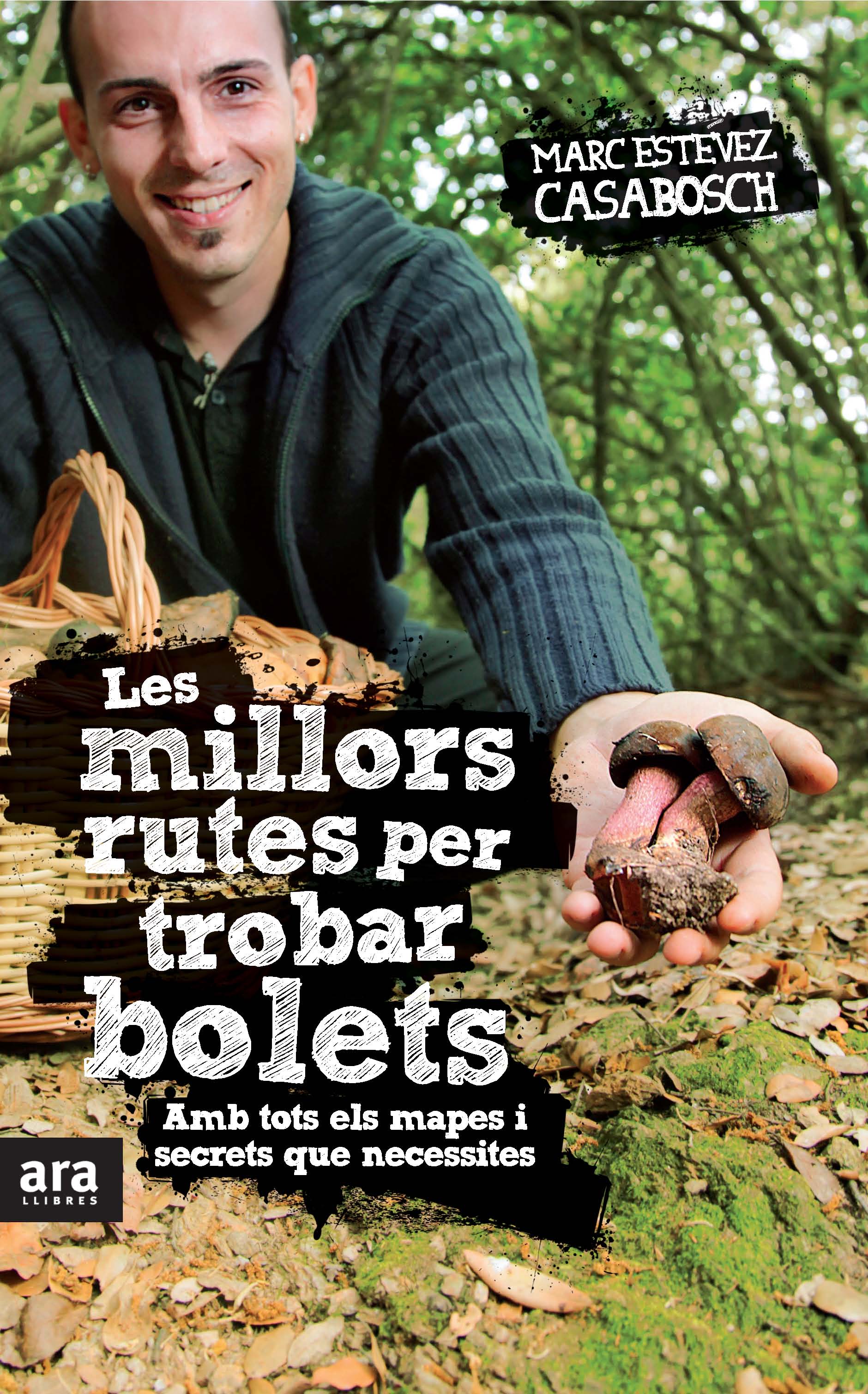 Les millors rutes per trobar bolets