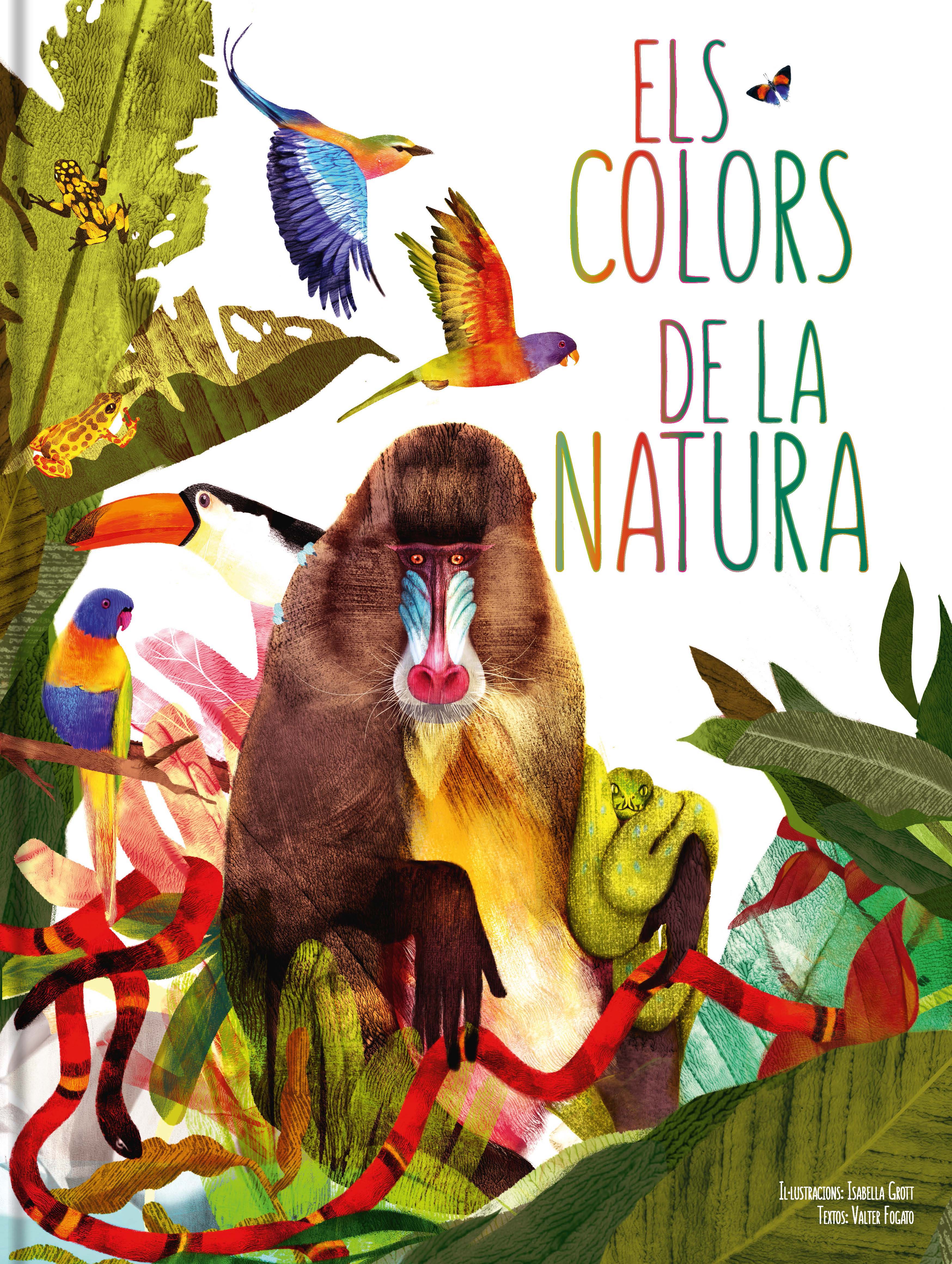 ELS COLORS DE LA NATURA