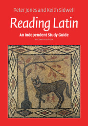 Reading Latin: An Independent Study Guide