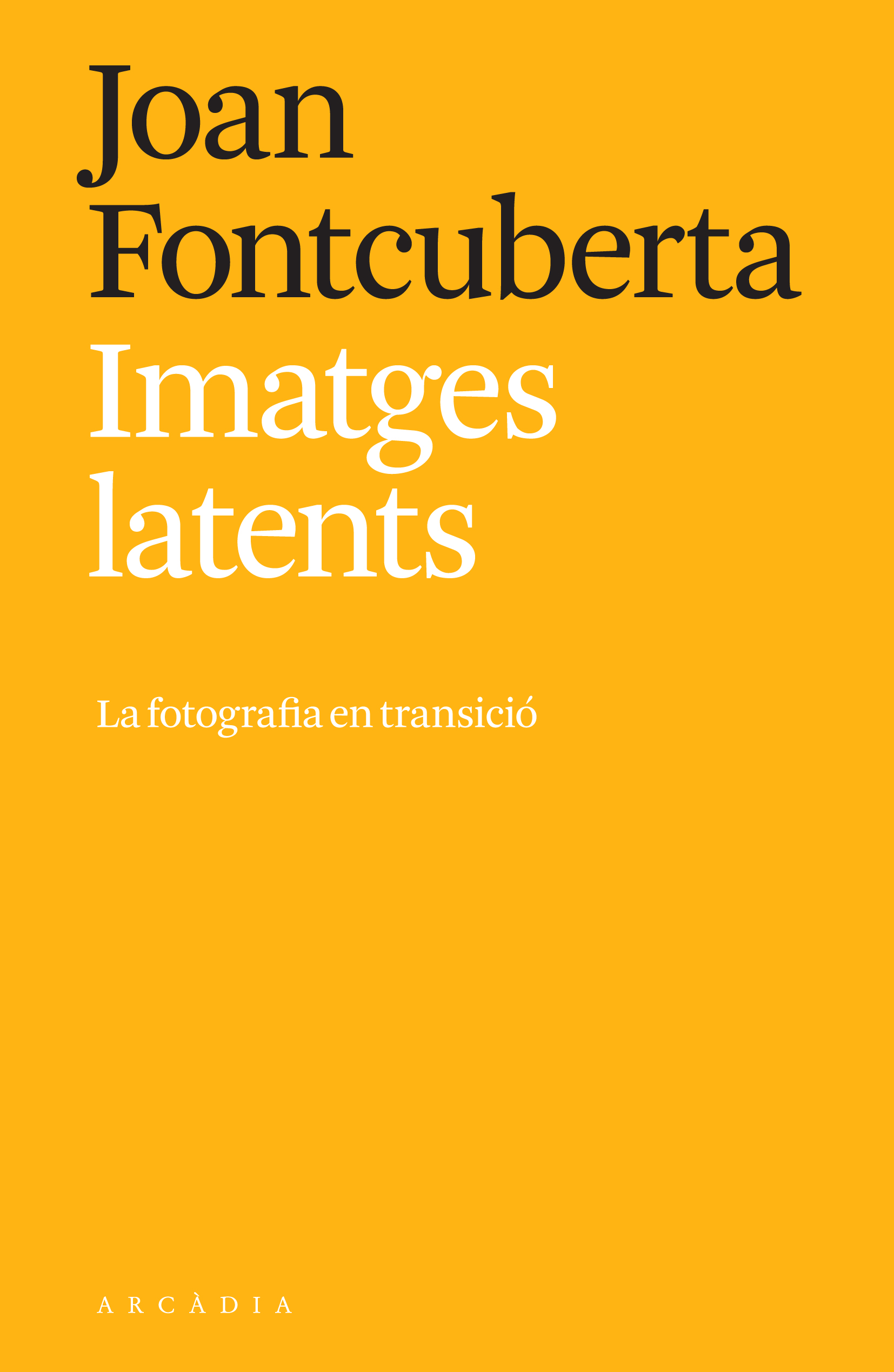 Imatges latents. La fotografia en transició