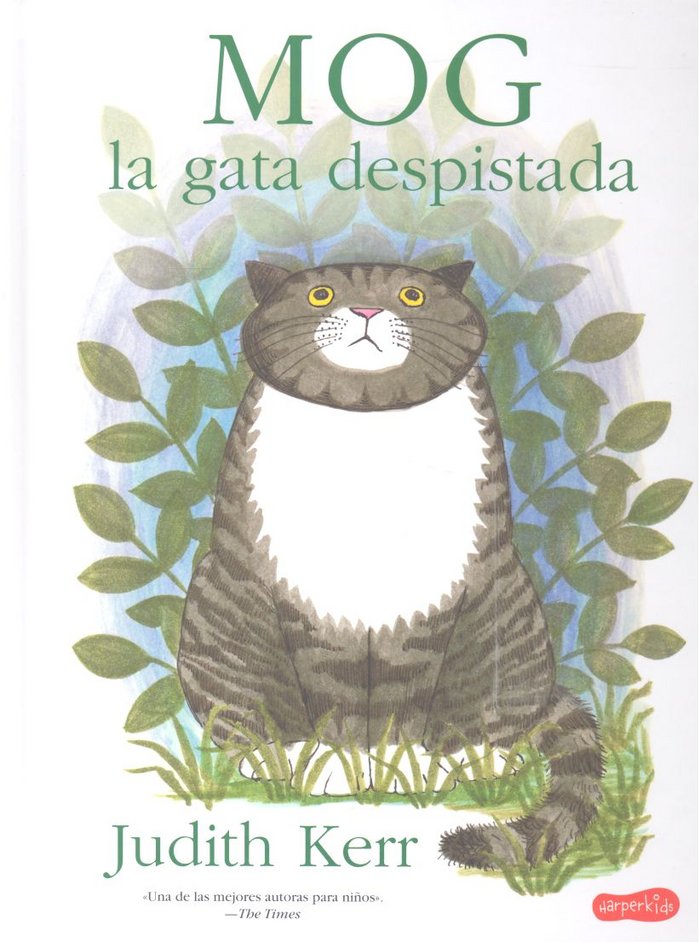 Mog, la gata despistada