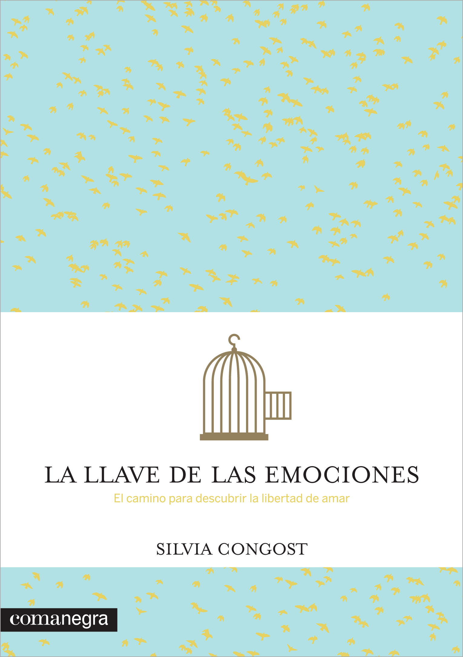 La llave de las emociones