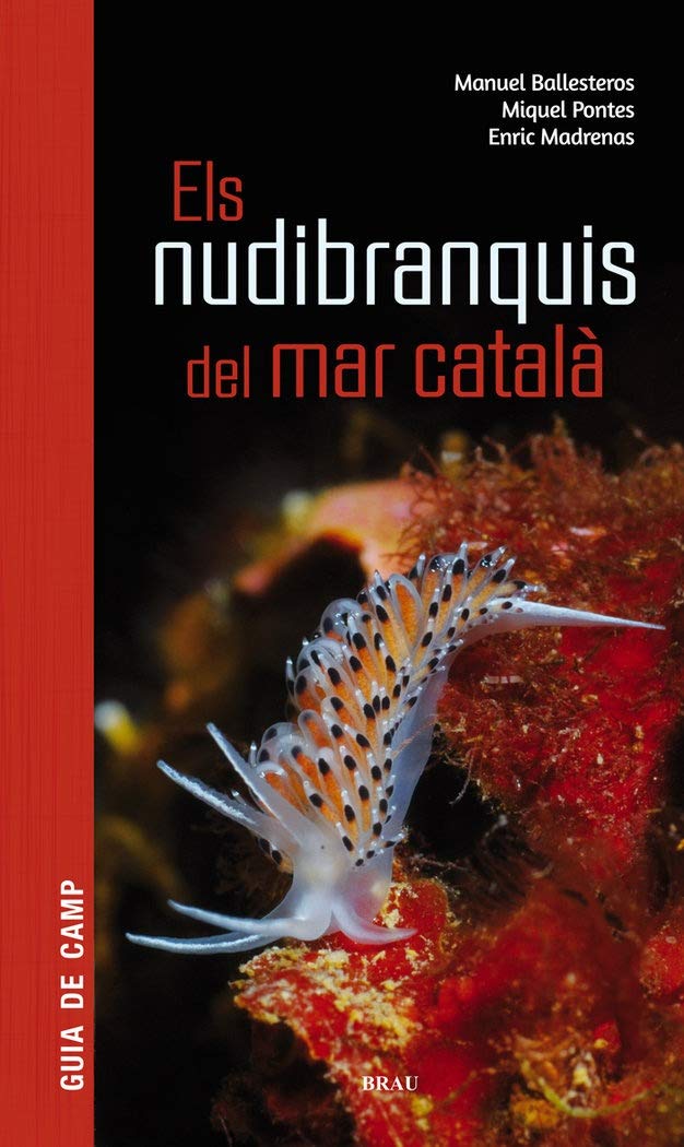 Els nudibranquis del mar català