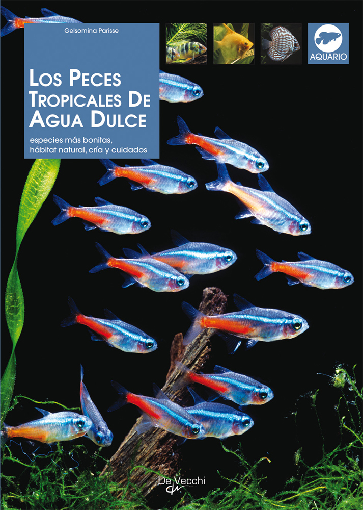 Los Peces tropicales de agua dulce