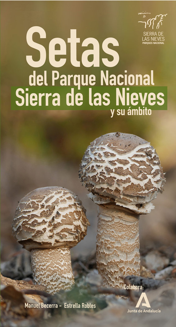 Setas del Parque Nacional Sierra de las Nieves y su ámbito